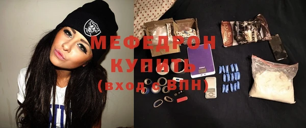стаф Ельня
