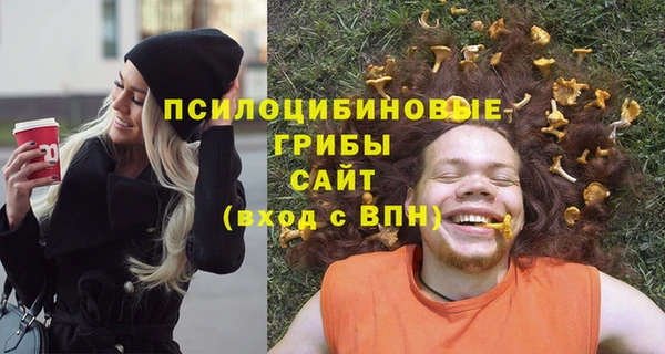 стаф Ельня