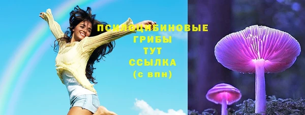 прущие грибы Заволжск