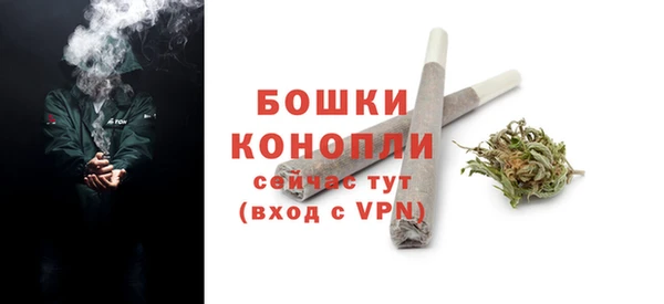стаф Ельня