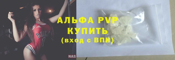 стаф Ельня