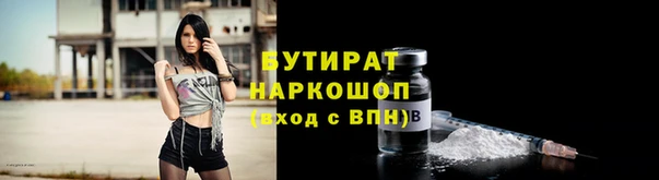 стаф Ельня