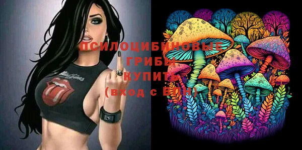 а пвп мука Заводоуковск