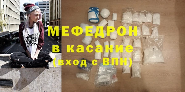стаф Ельня