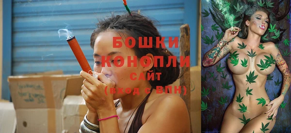 прущие грибы Заволжск