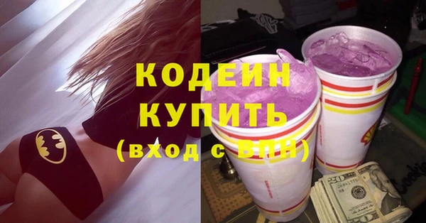 стаф Ельня