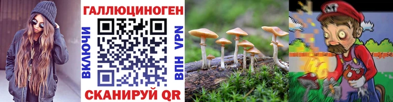 Галлюциногенные грибы Magic Shrooms  где можно купить наркотик  Борисоглебск 